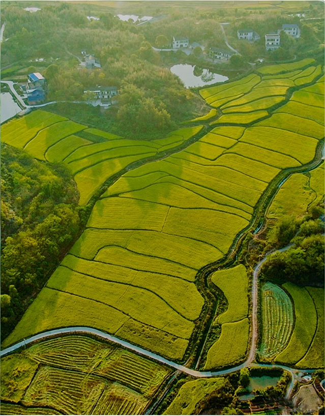 华绿肥业